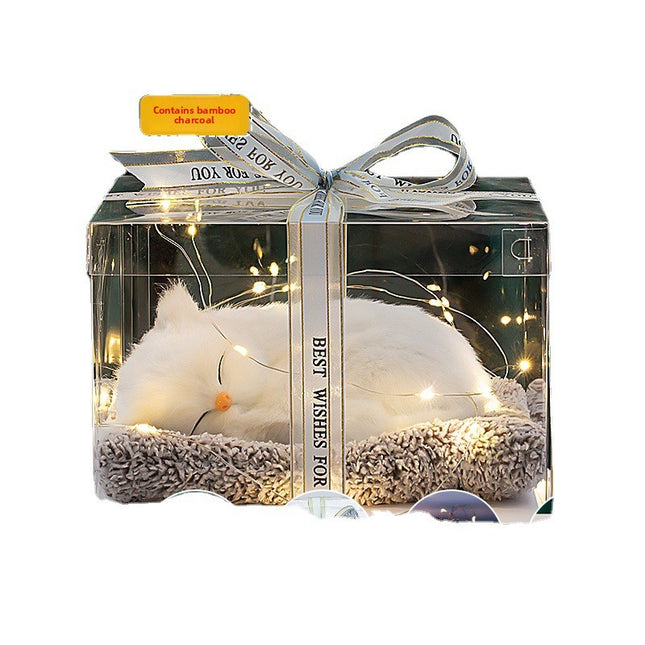 Decorative Activated Carbon Pet Pad with Gift Box