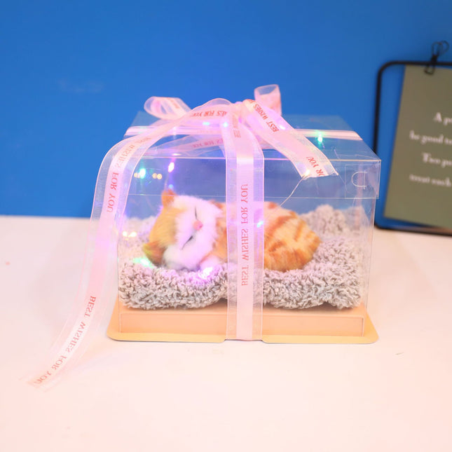 Decorative Activated Carbon Pet Pad with Gift Box