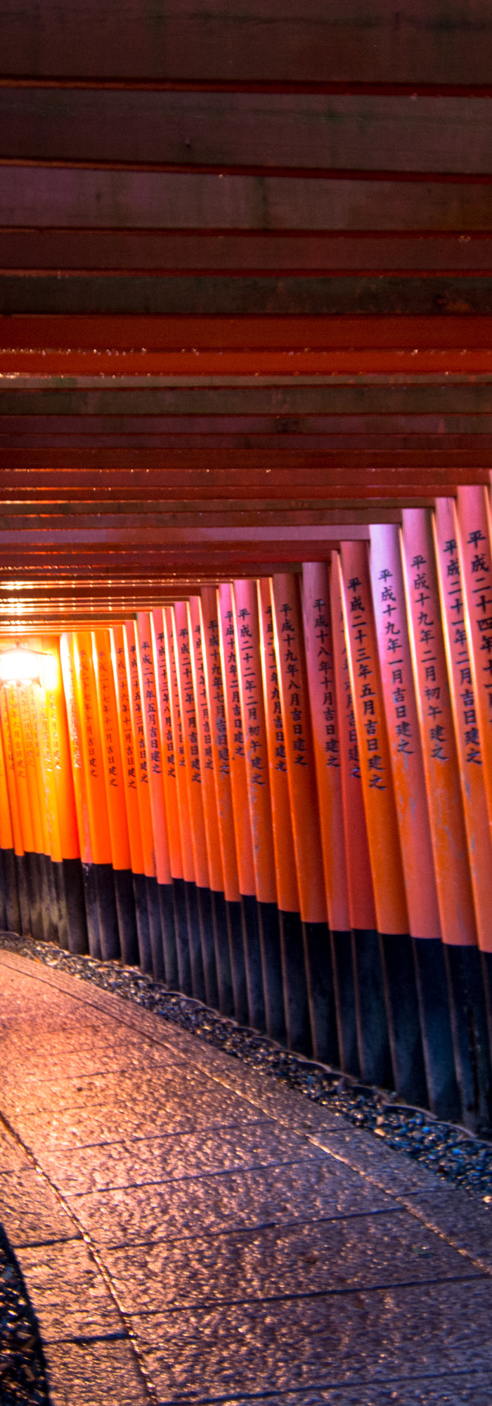 <h2>"Exceptional quality and fast shipping. This product exceeded my expectations and the customer service team was incredibly helpful when I had questions."</h2><h4>⭐⭐⭐⭐⭐</h4><h5>Sarah M.</h5><p>January 15, 2025</p>